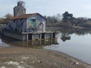 Comitato Difesa Lago di Bracciano: “Acea Ato 2 alla sbarra per disastro ambientale. Resta alta la guardia a difesa dell’ecosistema lacustre”