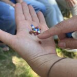Microplastiche: Risultati del progetto LIFE Blue Lakes