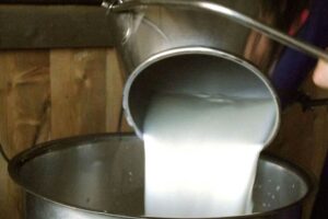 Italo Pulcini di Cia Lazio: “Bene l’intesa,  ma nel Lazio il prezzo del latte fissato resta troppo basso”