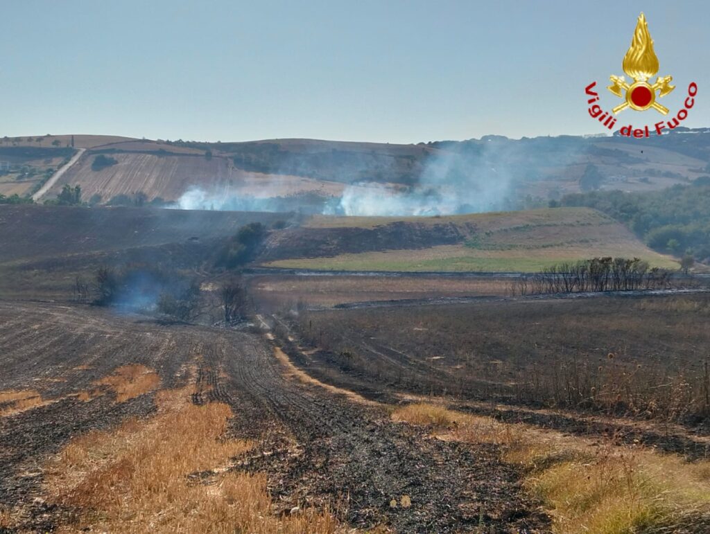 incendio, canadair,