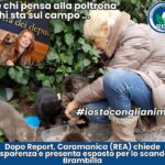 Dopo Report, Caramanica (REA) chiede trasparenza e presenta esposto per lo scandalo Brambilla