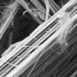 Erionite, “fibra killer” peggiore dell’amianto: individuato potenziale meccanismo di tossicità