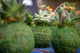 FloraCult