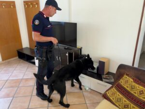 Cesano: ai domiciliari nasconde 4 etti di coca