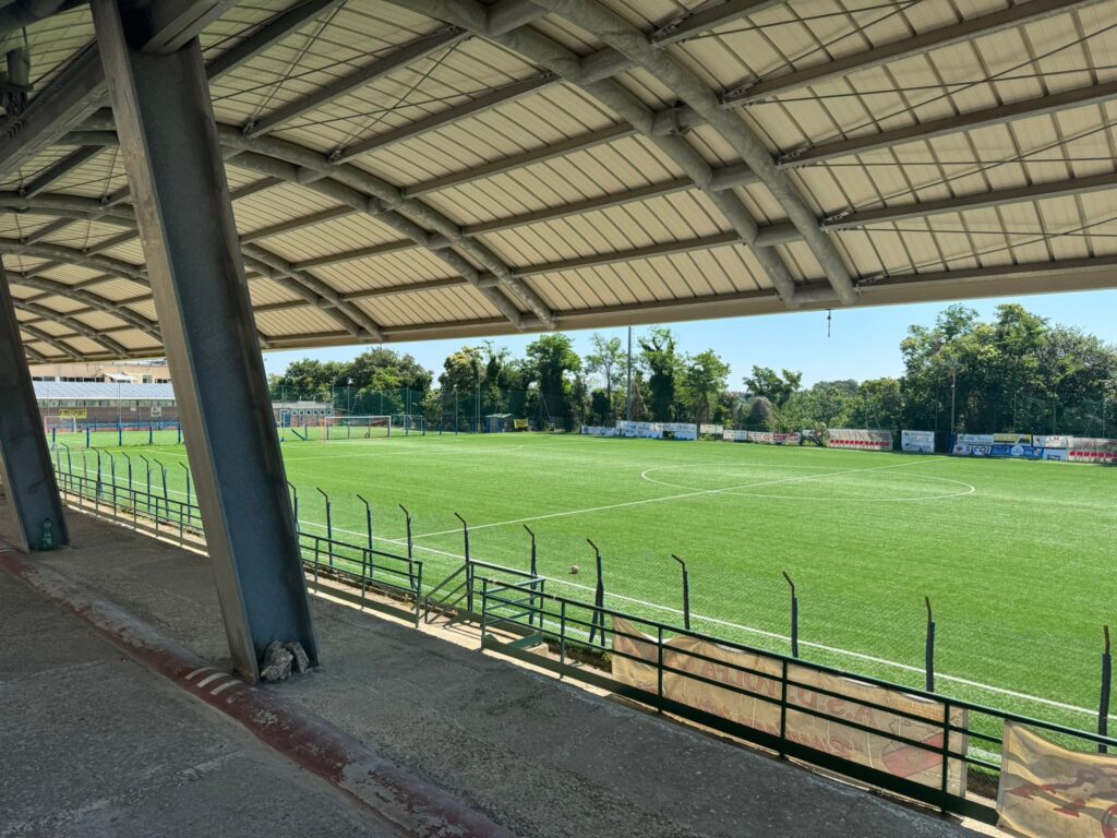 Tolfa