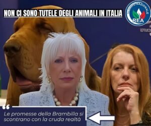 Caramanica: le promesse di Brambilla si scontrano con la cruda realtà
