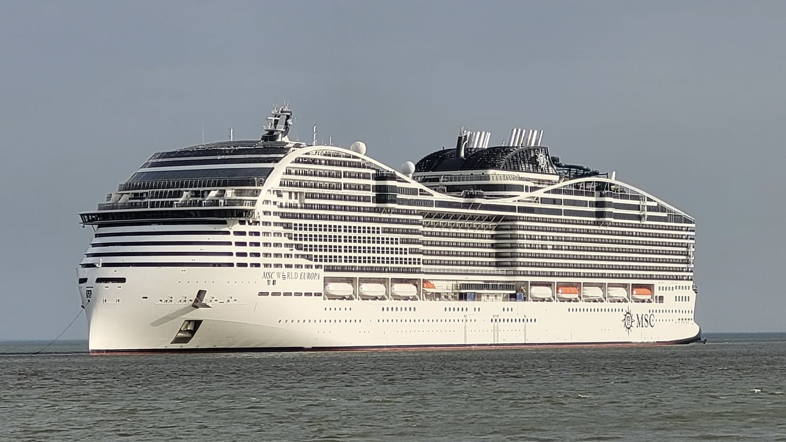 MSC