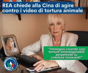 Torture su animali: Caramanica scrive a ambasciata cinese in Italia