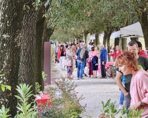 A Vitorchiano settima edizione di Verdi e Contenti