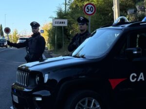 Cesano: dopo una lite donna accoltella il compagno