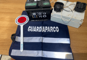 A caccia di uccelli con impianto audio: denunciato per bracconaggio un anguillarino