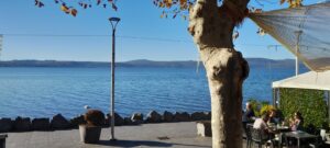 Scampoli di Poesia: Vincenzo Parisi celebra l'”Estate di San Martino”