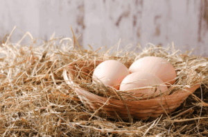 Istituto Superiore Sanità: dieci regole per pasti sicuri e sani