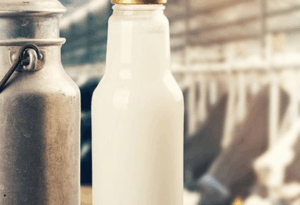 Zootecnia a rischio nel Lazio? Chiesto incontro con l’assessore Righini. Per Italo Pulcini, allevatore e responsabile del settore zootecnico di Cia Lazio: “servono risposte immediate”