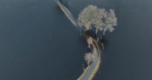 Al Cinema Palma il 16 gennaio serata evento: proiezione gratuita con “Il prezzo che paghiamo”