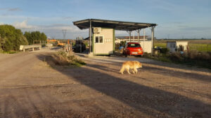 Dov’è Federica? Ancora ricerche vane ad Anguillara