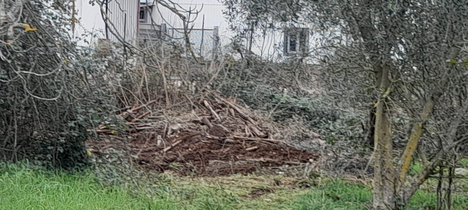 Il marito di Federica si avvale della facoltà di non rispondere. Si cercano eventuali complici