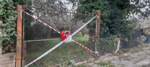 Federica straziata: ventitré coltellate, gamba amputata